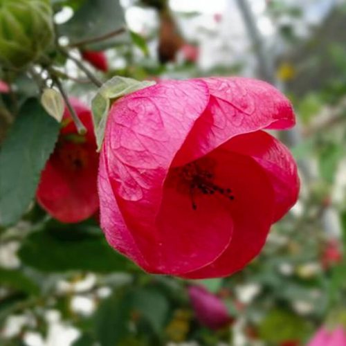 צילום מסך 2024-08-26 ב-11.44.01 1 (1)